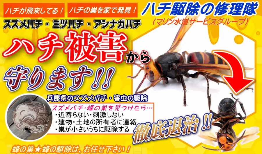 ハチを神戸市の業者が駆除